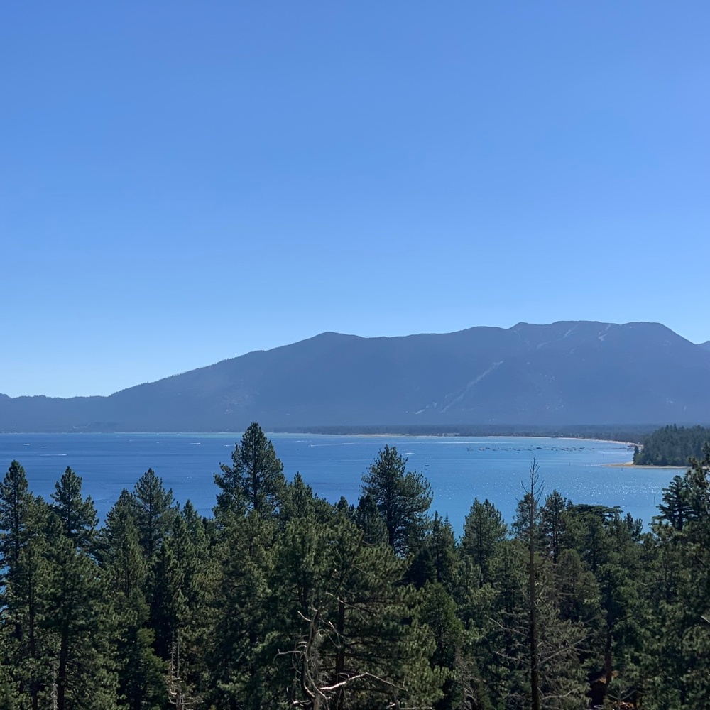 Meet your Posher, Awndrea